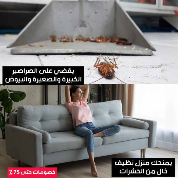 ⁦جل قاتل الحشرات الألماني⁩ - الصورة ⁦5⁩